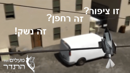 ציפור - רחפן - נשק